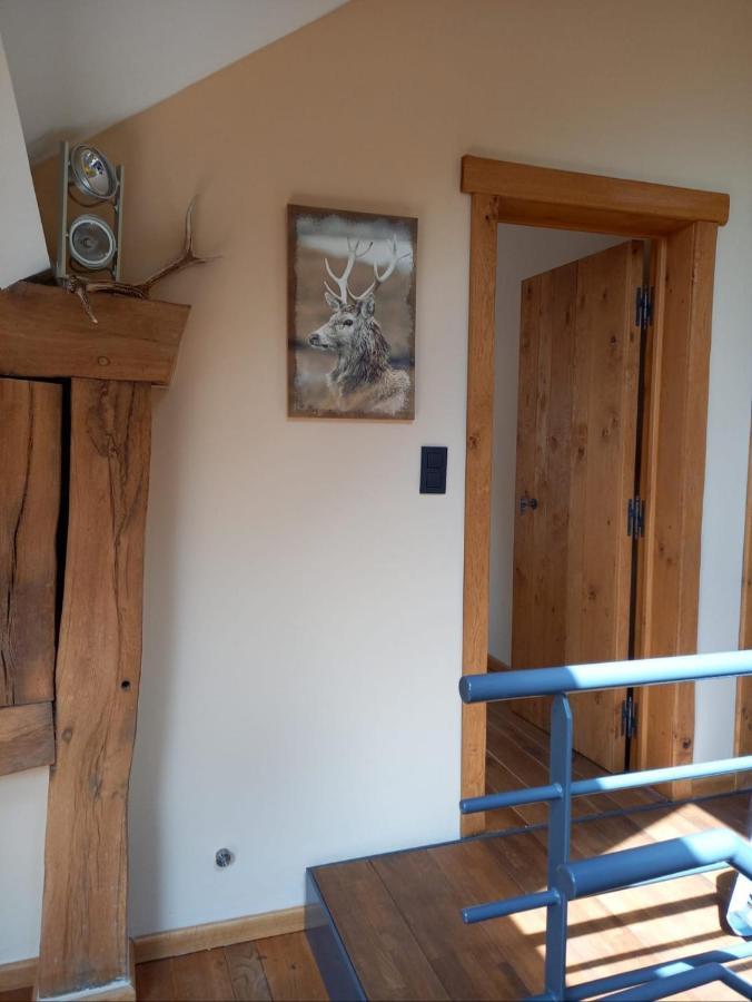 Le Clos Du Cerf - Silence & Nature Stoumont Exterior foto